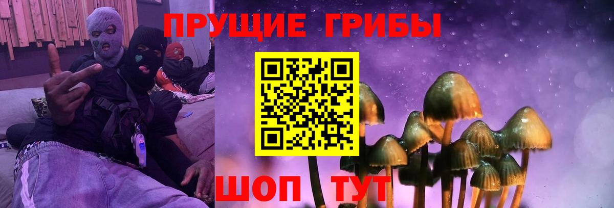 Чистополь  Галлюциногенные грибы ЛСД  Вход с VPN 